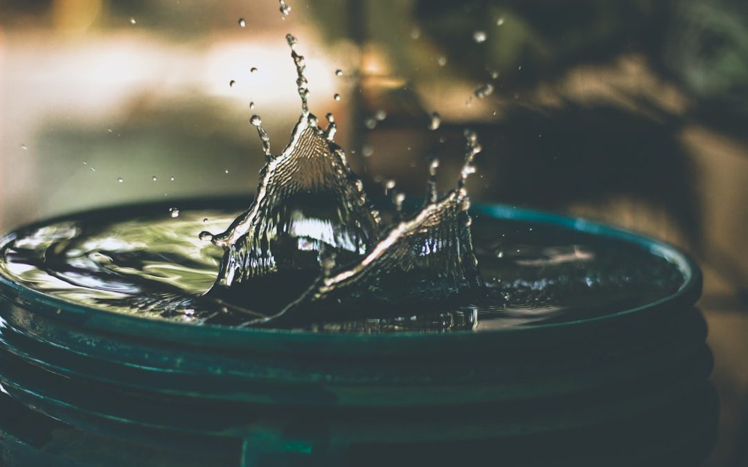 Photo water filter