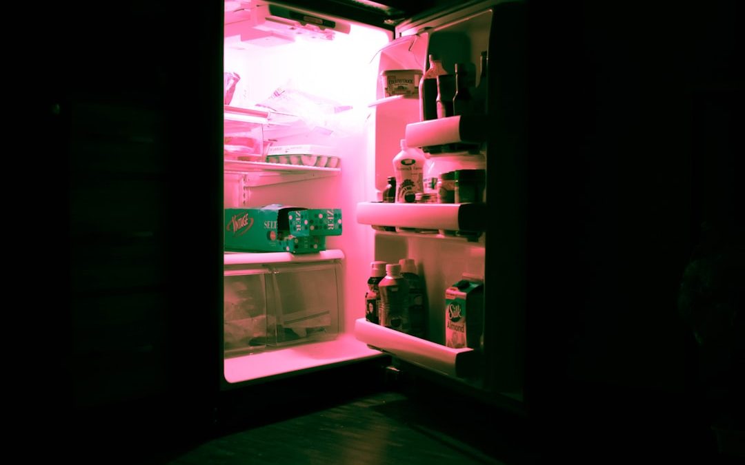 Photo refrigerator