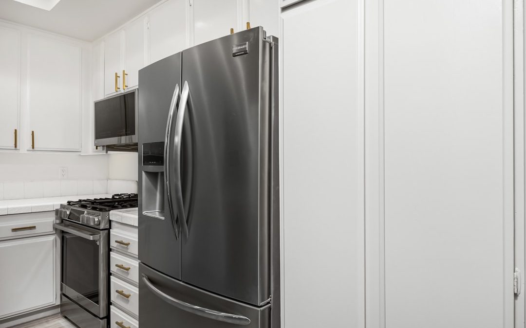 Photo refrigerator