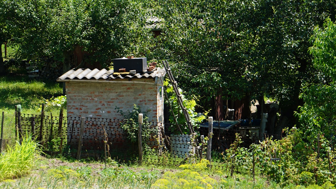 Photo Hűtőszűrő