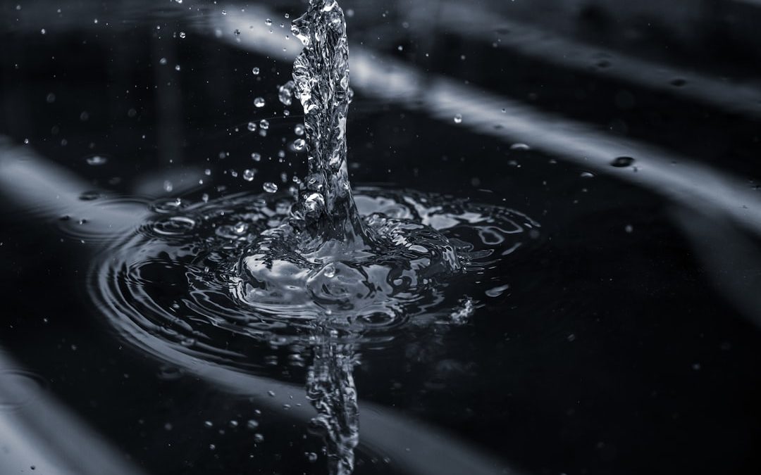 Photo water filter rinsing