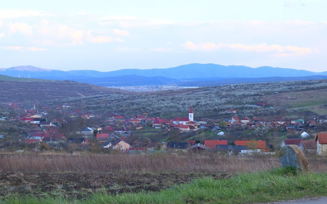 Photo Hűtőszűrő csere