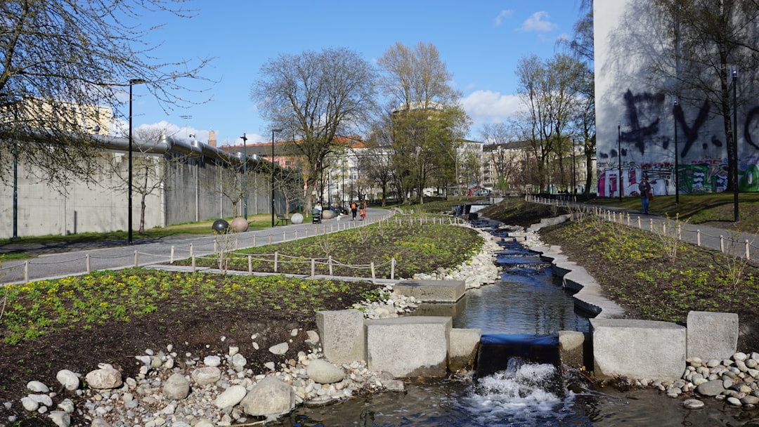 Photo hűtőszűrő